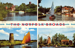 R073518 The Norfolk Broads. Multi View. Jarrold. Cotman Color - World