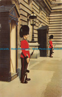 R072565 Irish Guards On Sentry Duty At Buckingham Palace. London. 1972 - Other & Unclassified