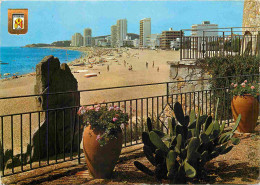 Espagne - Espana - Cataluna - Costa Brava - Platja D'Aro - Playa - Plage - Immeubles - Architecture - CPM - Voir Scans R - Gerona