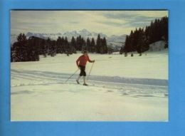 Sports - Sports D'Hiver - Ski - Sur De Fond Dans Les Alpes - Carte Vierge - Sports D'hiver