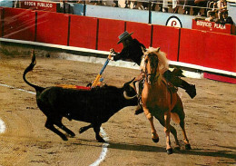 Corrida - Toros - Alvaro Domecq - Un Par Al Estribo - Chevaux - CPM - Voir Scans Recto-Verso - Corridas