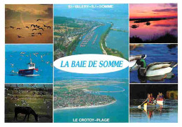 80 - Baie De Somme - Multivues - Chevaux - CPM - Voir Scans Recto-Verso - Sonstige & Ohne Zuordnung