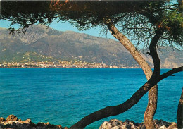 06 - Menton - Vue Générale Prise Du Cap-Martin - CPM - Carte Neuve - Voir Scans Recto-Verso - Menton