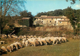 Animaux - Moutons - Provence - Vieux Mas Provençal La Cremade - CPM - Voir Scans Recto-Verso - Sonstige & Ohne Zuordnung