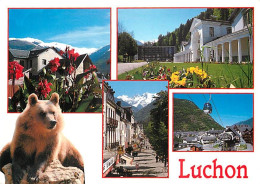 Animaux - Ours - Luchon - Multivues - Ours Des Pyrénées - Bear - CPM - Voir Scans Recto-Verso - Ours