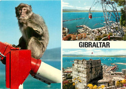 Animaux - Singes - Gibraltar - Multivues - Macaque - Carte Neuve - CPM - Voir Scans Recto-Verso - Monkeys