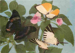 Animaux - Papillons - Catopsilia Scylla Cornelia - Panacea Prola - Graphium Antiphates - Fleurs - Etat Taches Visibles - - Butterflies