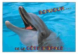 Animaux - Dauphins - CPM - Voir Scans Recto-Verso - Delphine