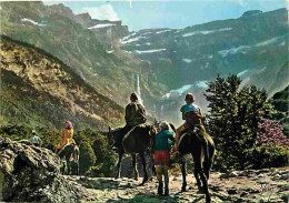 Animaux - Anes - Pyrénées - Gavarnie - Départ Pour Le Cirque - Carte Neuve - CPM - Voir Scans Recto-Verso - Burros