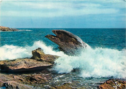 56 - Presqu'Ile De Quiberon - CPM - Voir Scans Recto-Verso - Quiberon