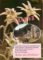 31 - Luchon - CPM - Voir Scans Recto-Verso - Luchon