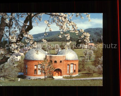 11566646 Dornach SO Atelier Rudolf Steiner Goetheanum Baumbluete Dornach - Other & Unclassified