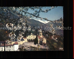 11566533 Locarno TI Basilica Madonna Del Sasso Baumbluete  - Autres & Non Classés