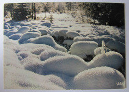 PHOTOGRAPHIE - Cristaux De Neige - Fotografía