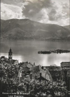 11527008 Brissago TI Lago Maggiore Brissago - Sonstige & Ohne Zuordnung