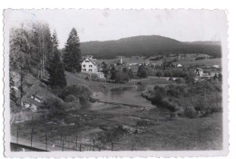 CARTE PHOTO -  Les Longevilles Mont - D'Or (Doubs) - Other & Unclassified