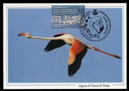 ESPAÑA (2023) Carte Maximum Card - Emisión Conjunta - Joint Issue China Flamingo Flamenco Flamant Phoenicopterus Roseus - Maximumkarten