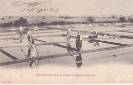 MARAIS SALANTS DE L ILE DE RE ET MARENNES                PRECURSEUR - Marennes