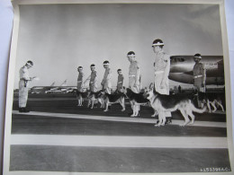 PHOTO THEME CHIEN DE DEFENSE - U.S. AIR FORCE PHOTO - 1955 -  Format : 25 X 20 Cm - América