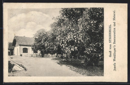 AK St. Andrä-Wördern, Steinriegel, Restaurant Und Meierei Von Josefa Weidlinger  - Autres & Non Classés