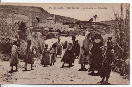 Carte Postale Ancienne Maroc - Petitjean. Sidi Kacem. La Zaouïa Des Chorfas - Autres & Non Classés