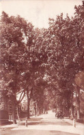 MARCHE En FAMENNE - Carte Photo - Allée Du Monument - Marche-en-Famenne