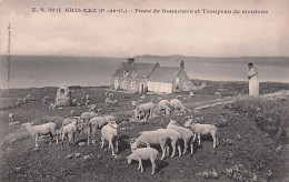 62 - Pas De Calais - GRIS NEZ -  Poste De Douaniers Et Troupeau De Moutons - Sonstige & Ohne Zuordnung