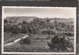 24 - SIGOULES - Vue Générale - Otros & Sin Clasificación