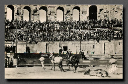 Tauromachie - Corridas - Taureau Arrastre Enlèvement Dt Toro Mort à NIMES (scan Recto-verso) QQ 1113 - Corrida