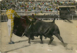 Tauromachie - Corridas - Taureau Belles Passes   Par ARRUZA  à NIMES (scan Recto-verso) QQ 1113 - Corridas