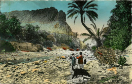 ALGERIE ALGER  Un Joli Coin De L'Oued Et De L'Oasis  (scan Recto-verso) QQ 1113 - Alger