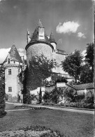 24  Château Des Milandes   Castelnaud-la-Chapelle      (Scan R/V) N°   2   \QQ1110Vic - Sarlat La Caneda