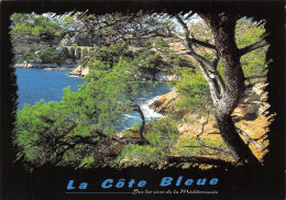 13 La Cote Bleue Ligne De L'Estaque à Miramas  (Scan R/V) N°   22   \QQ1110Ter - Martigues