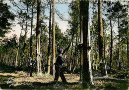 Résiniers Au Travail Dans Les Landes (scan Recto-verso) QQ 1109 - Andere & Zonder Classificatie