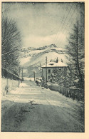 VILLARD DE LANS Le Nid Alpin Le Cornafion (scan Recto-verso) QQ 1105 - Villard-de-Lans