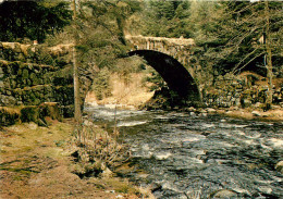 Vosges : Le Pont Des Fees Sur La Vologne Pres De Gerardmer  (scan Recto-verso) QQ 1152 - Gerardmer