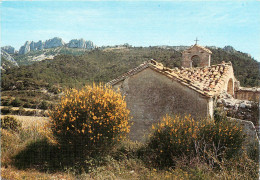 VAISON LA ROMAINE  Les Dentelles De MONTMIRAIL (scan Recto-verso) QQ 1146 - Vaison La Romaine