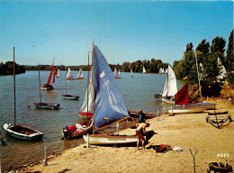 81 ALBI - RIVIERES PAR GAILLAC - SUR LA RIVE DU TARN Plage Du Camping Club House (scan Recto-verso) QQ 1142 - Albi