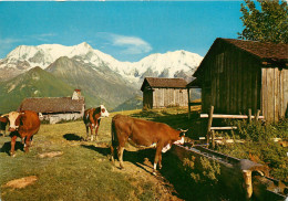 74 SAINT GERVAIS LES BAINS - Pâturages Et Vieux Châlet - Au Dessous, Du Plateau De La Croix (scan Recto-verso) QQ 1132 - Saint-Gervais-les-Bains