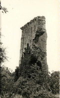 50 - REGNEVILLE -- Ruines Du Donjon  (scan Recto-verso) QQ 1125 - Autres & Non Classés