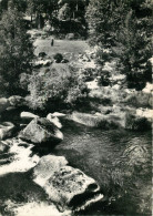 48 LOZERE AUROUXvue Sur  LE CHAPEAUROUX  (scan Recto-verso) QQ 1123 - Autres & Non Classés