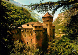 48 GORGES DU TARN Les Gorges De La Jonte Le Chateau De La Caze (scan Recto-verso) QQ 1123 - Autres & Non Classés