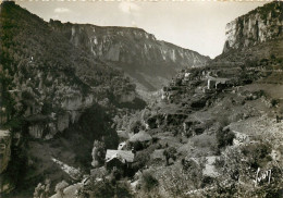 48  CANON DE LA JONTE (48) Vue Prise Du Belvédère Des Terrasses  (scan Recto-verso) QQ 1123 - Autres & Non Classés