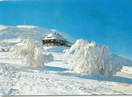 GUEWILLER Le Grand Ballon En Hiver  (scan Recto-verso) QQ 1188 - Guebwiller