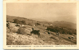 Vallée De Wesserling. Col Herrenberg. Troupeau. Hus (QQuge)  (scan Recto-verso) QQ 1188 - Otros & Sin Clasificación