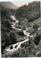 CAUTERETS LA RAILLERE Cascade Du Lutour   (scan Recto-verso) QQ 1186 - Cauterets