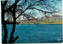 LAC CHAUVET (63) ANCIEN CRATERE VOLCANIQUE - A L'HORIZON MASSIF DES MONTS DORE   (scan Recto-verso) QQ 1177 - Besse Et Saint Anastaise