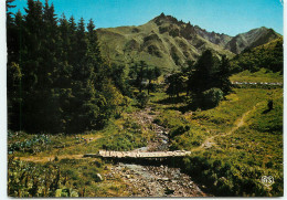 Le SANCY La Dordogne A Sa Naissance (scan Recto-verso) QQ 1177 - Le Mont Dore