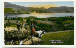 Le Lac Chambon  (scan Recto-verso) QQ 1177 - Sonstige & Ohne Zuordnung