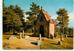 Environs De Bagnoles De L'Orne  La Chapelle Ste Geneviève  (scan Recto-verso) QQ 1175 - Bagnoles De L'Orne